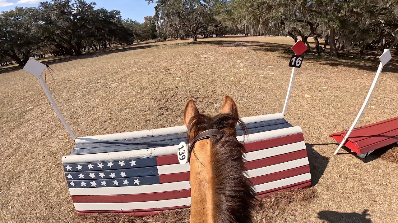 GoPro: Bugatti (Training Horse | 2026 Rocking Horse Winter II Horse Trials)