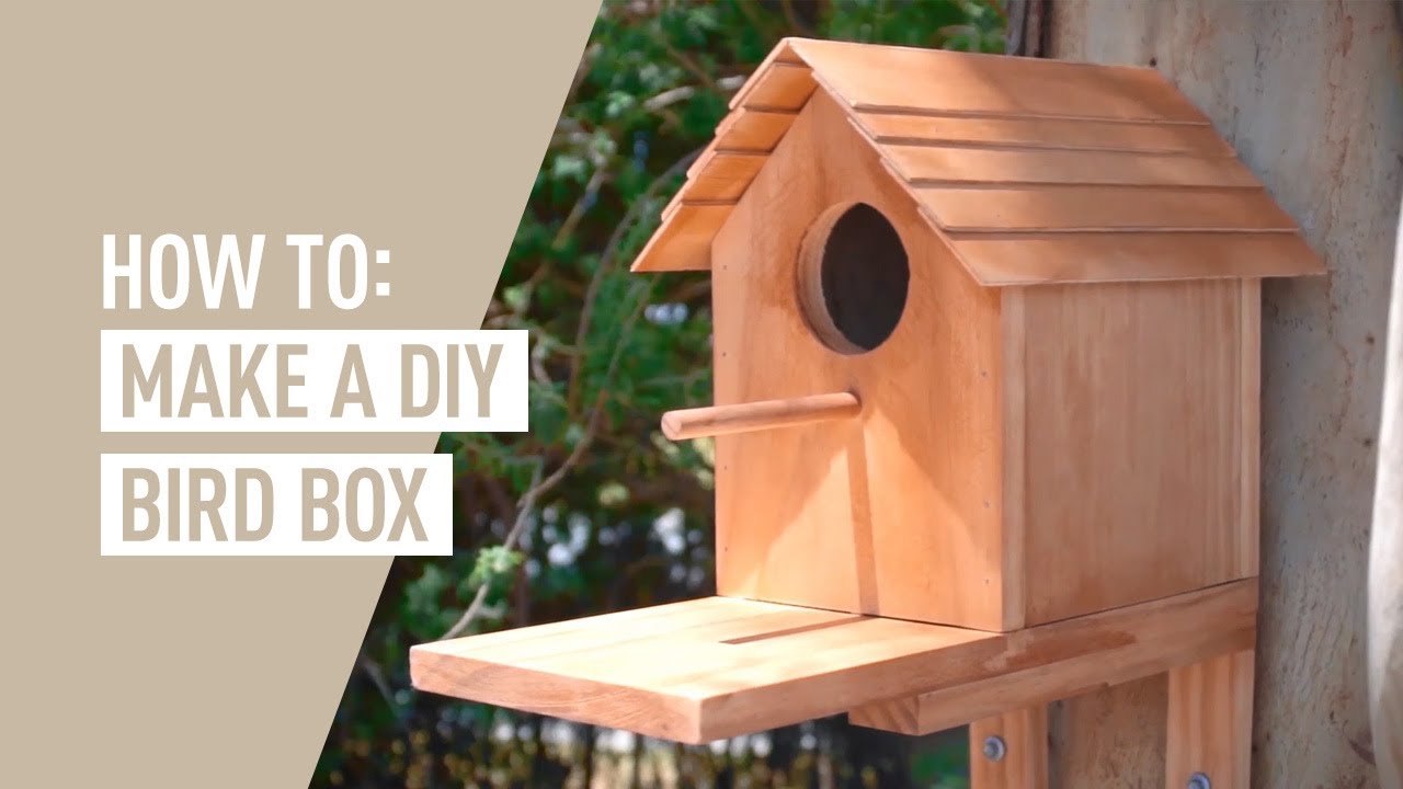 Ozito DIY Bird Box - DIY Projects