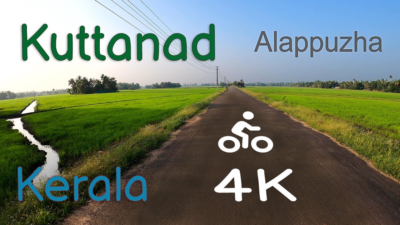 Alappuzha , Kerala | places to visit | Farms and backwaters of kerala | Wild lens