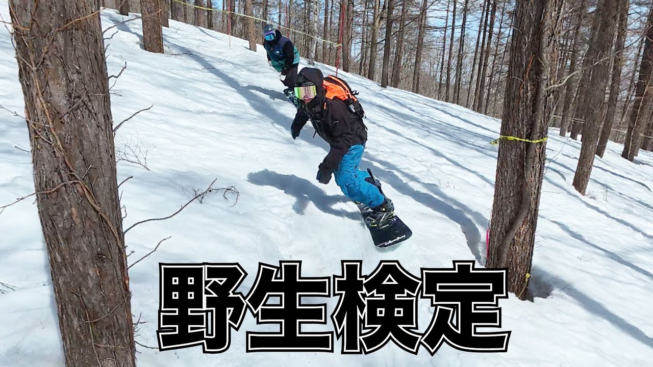 野生検定2025アルペンブリックのバンクドスラロームでタイム測定したらやばすぎた