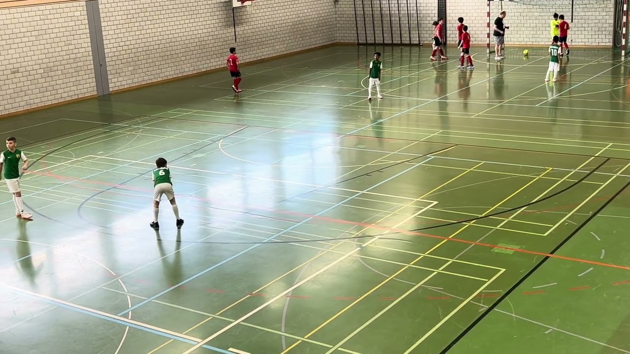 FC Altstetten vs FC Birmensdorf 08 : 00