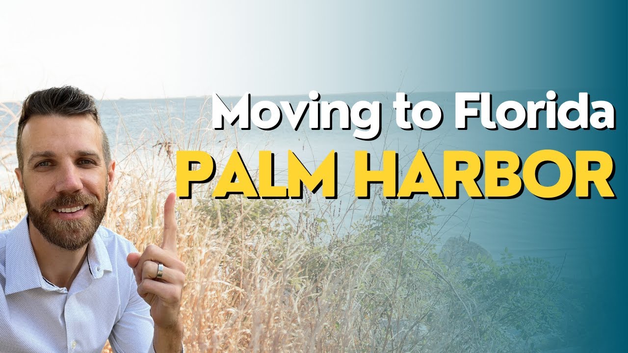 3 Reasons why you'll LOVE living in PALM HARBOR FL