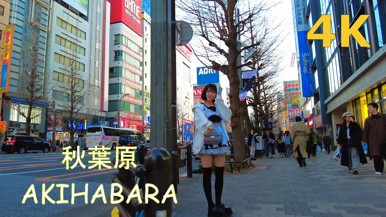 【4k】祝日の秋葉原を散歩🧸walk in Akihabara Tokyo