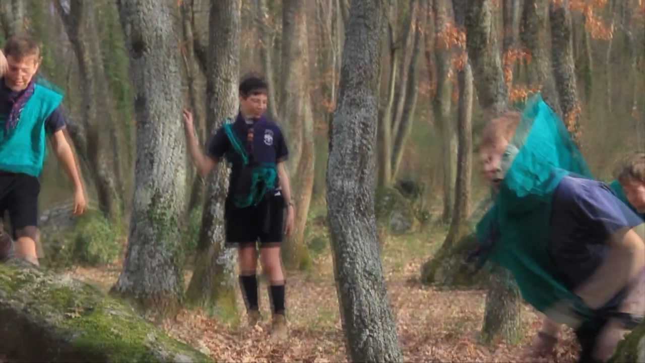 Gioco Scout