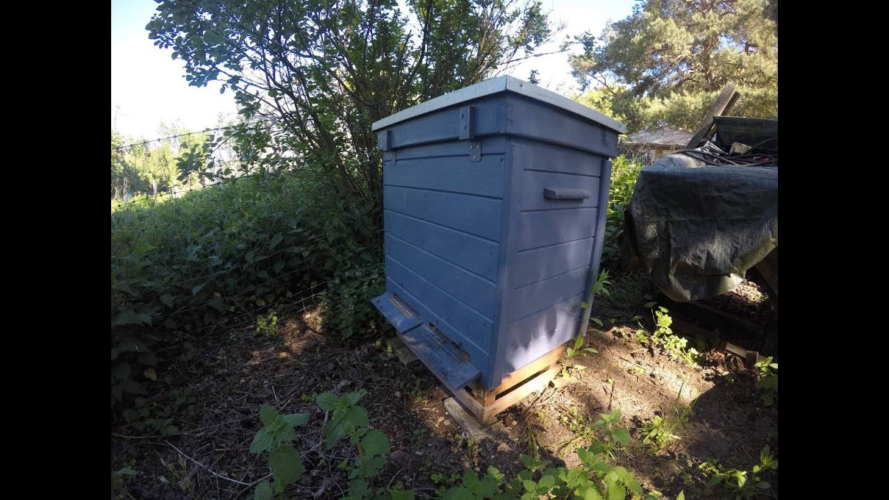 Durchsicht WP Trogbeute