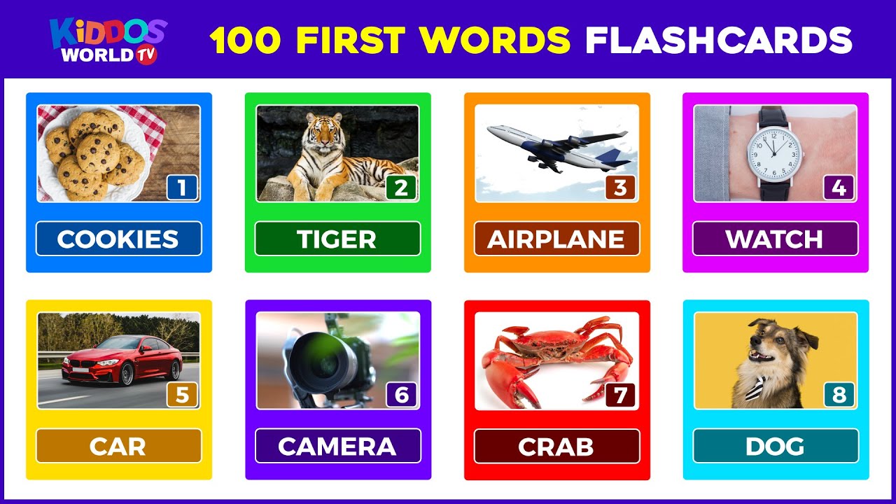 First 100 Words for Children English Vocabulary Learning