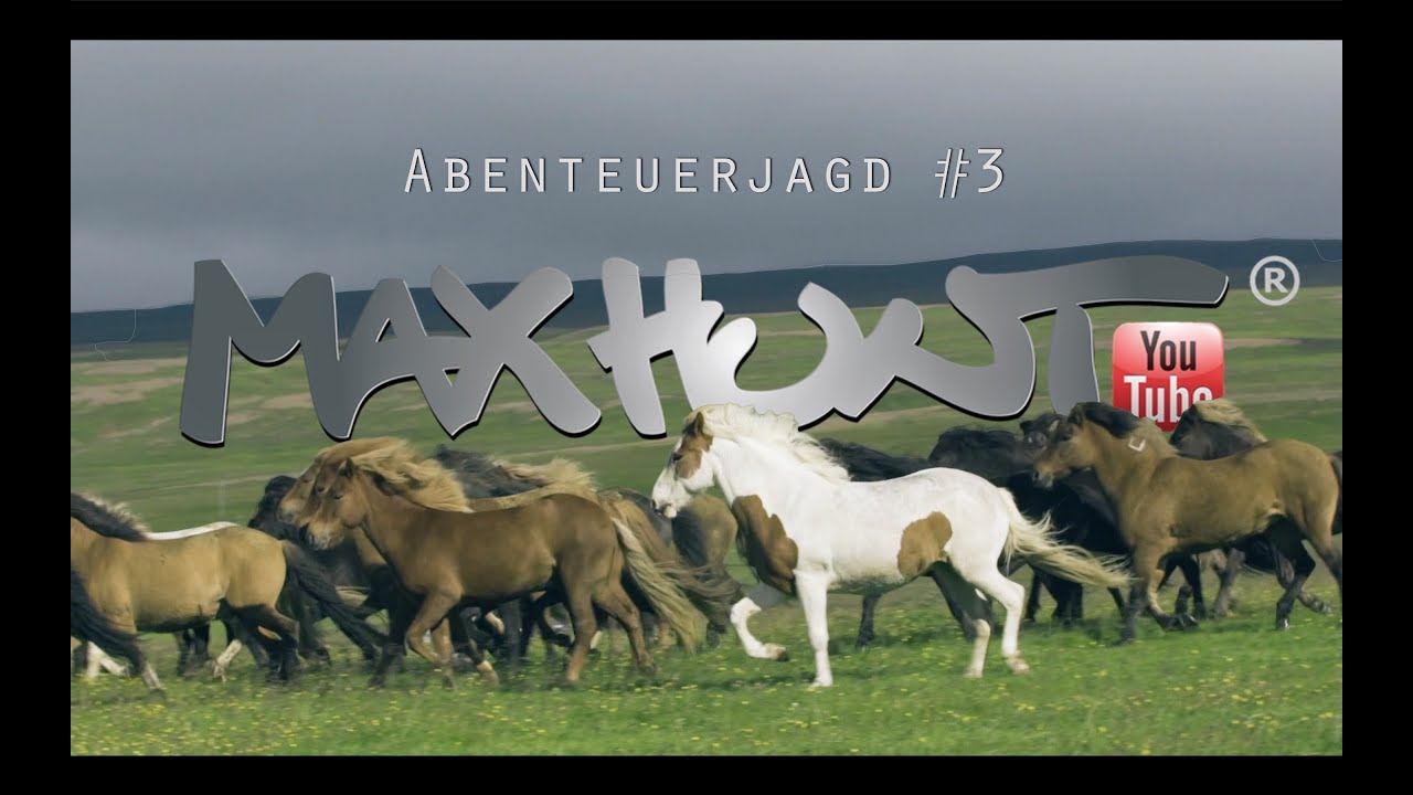 Das Pferd das Island bev&ouml;lkerte, der Isl&auml;nder - Auf Achse #3