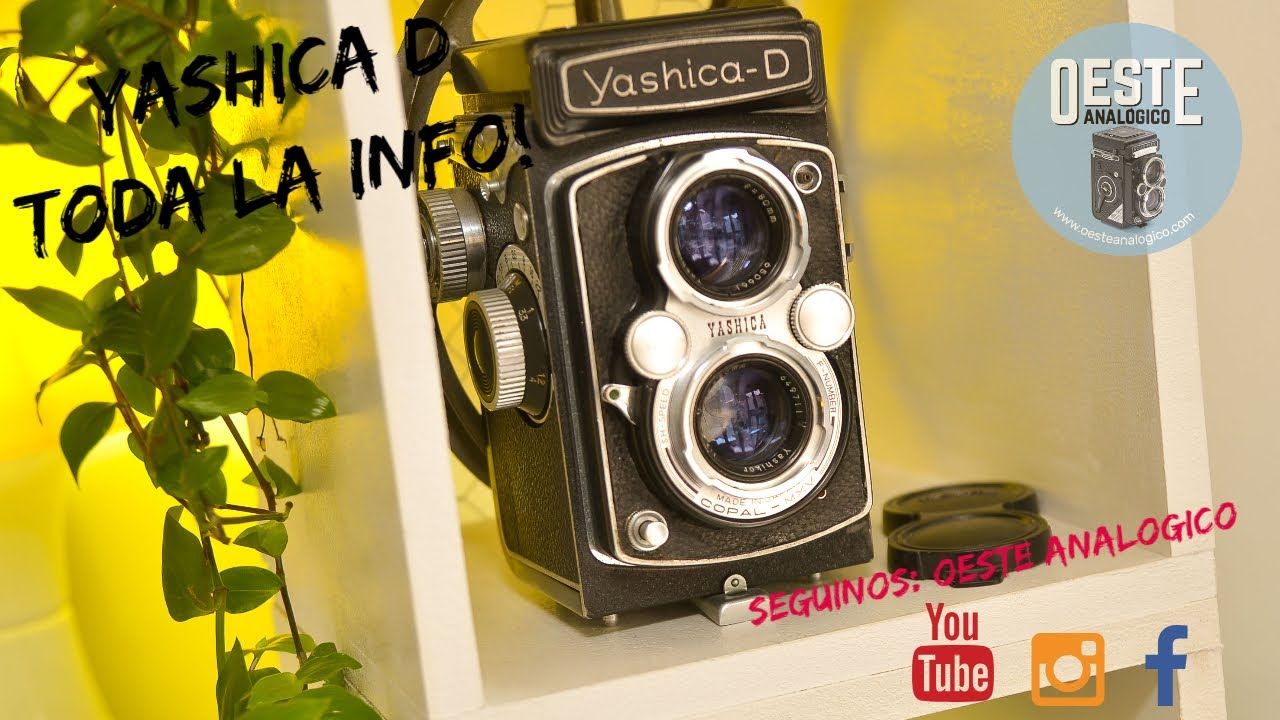 YASHICA D 📷 FOTOGRAFIA ANALOGICA 👉 TLR  ideal para PRINCIPIANTES en formato medio 6x6