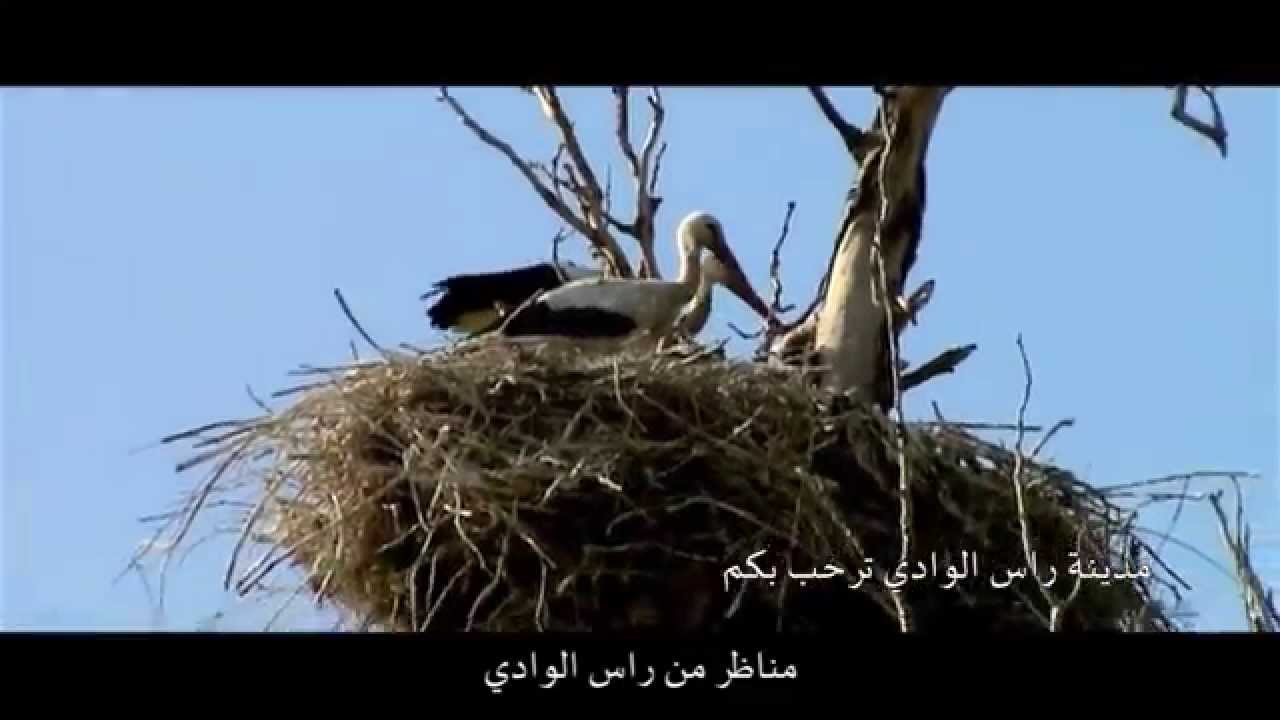مدينة راس الوادي ترحب بكم