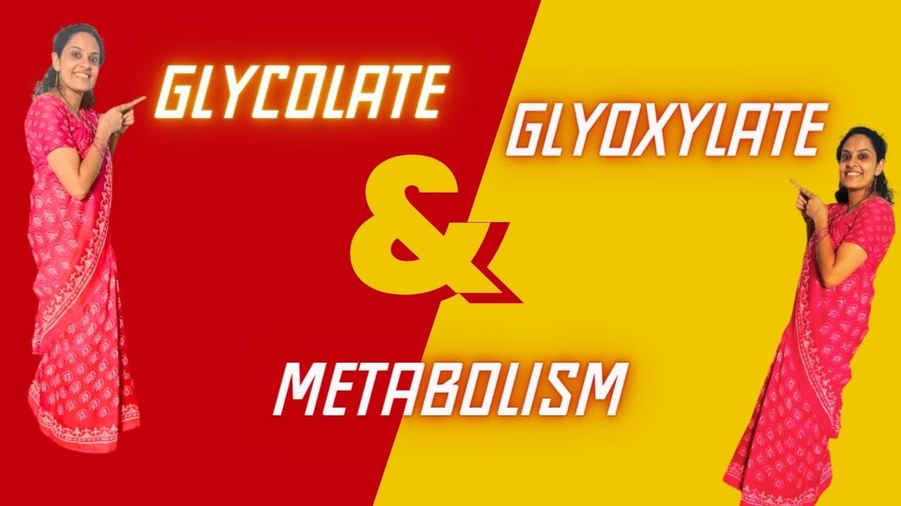Metabolism of 2 carbon compounds made simple! Glyoxylate and Glycolate metabolism | Easy Learning
