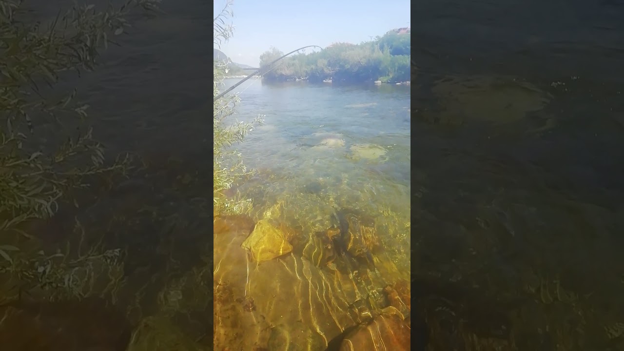 Pesca trota val grande
