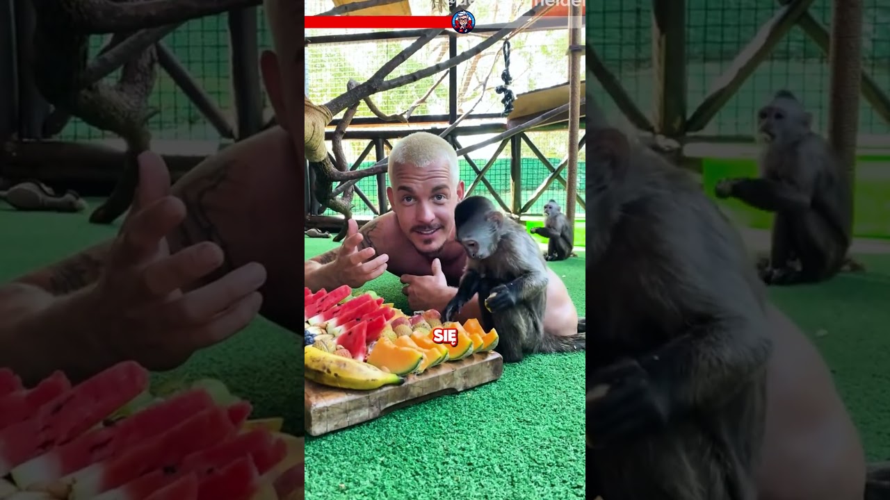 🐾 Poznaj człowieka, kt&oacute;ry m&oacute;wi językiem lw&oacute;w