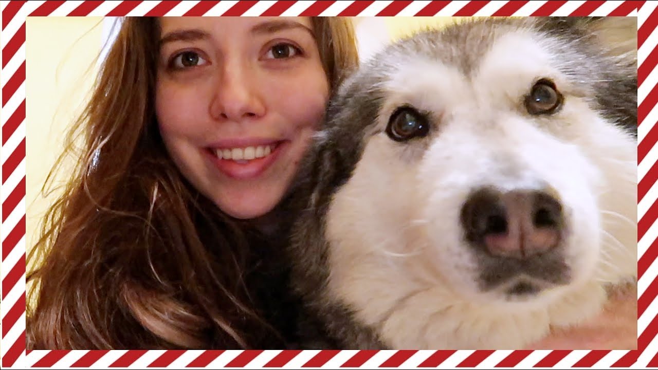 VLOGMAS 21 PRZYJECHAŁAM DO PIESK&Oacute;W I GlamPaula