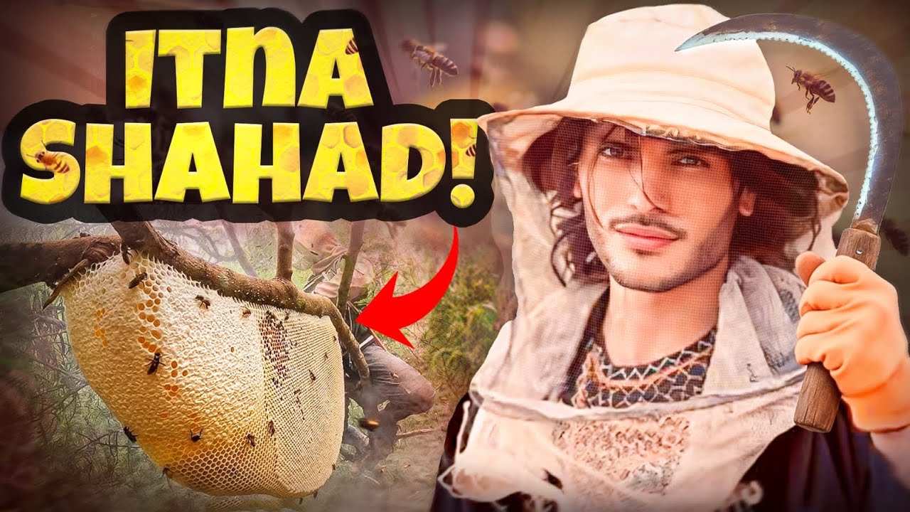 Itna Shehad?! 🐝 | Pure Natural Honey Vlog 🍯”|| KARAK KING