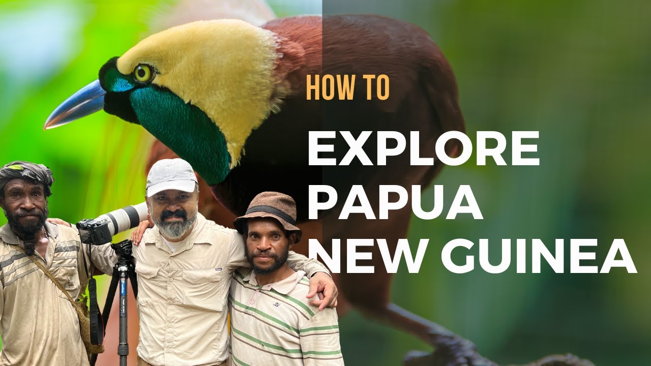 HOW TO EXPLORE PAPUA NEW GUINEA I  TIPS & TRIPS
