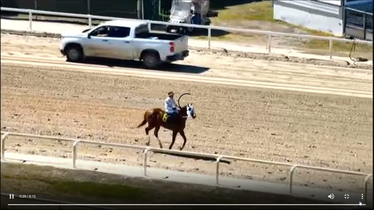 Tampa Bay Downs, Race 1- 08 FEB 2026