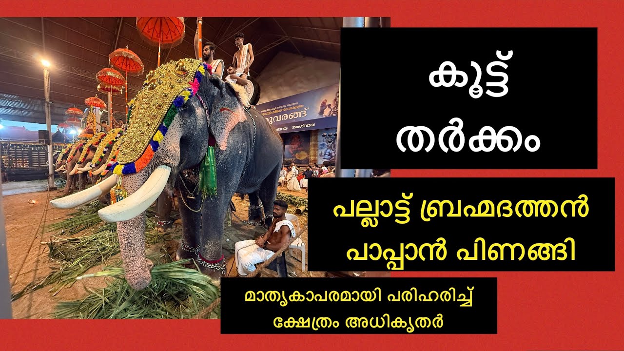 കുട്ട്തർക്കം പരിഹരിച്ചത് കാണണോ..!@V M PRADEEP MEDIA