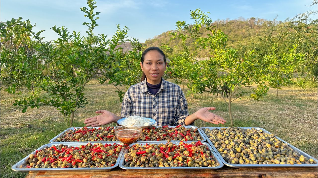 លៀសហាល ៧កំរឹត