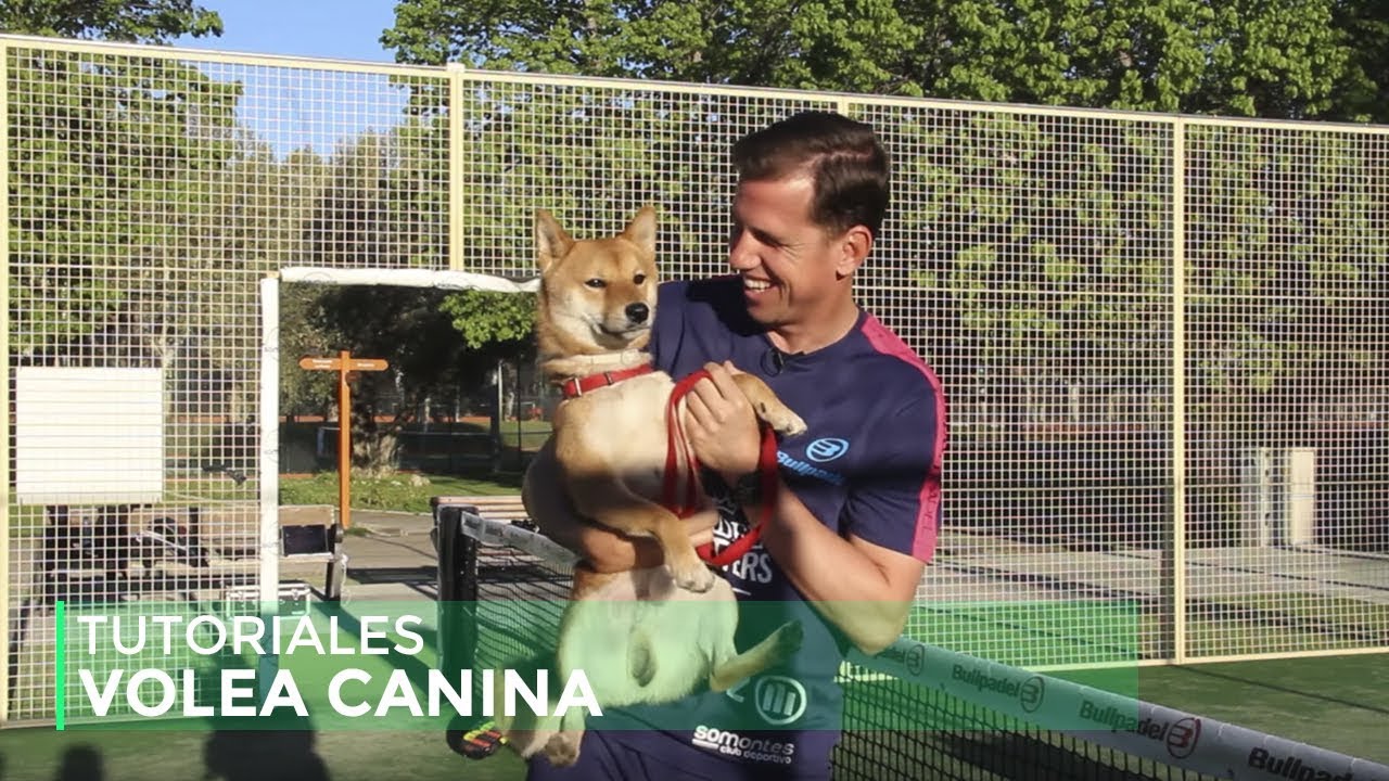 Aprende con Paquito Navarro 4x02 | Volea Canina