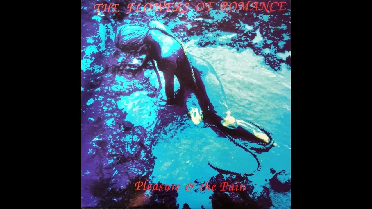 THE FLOWERS OF ROMANCE - Love Commandos