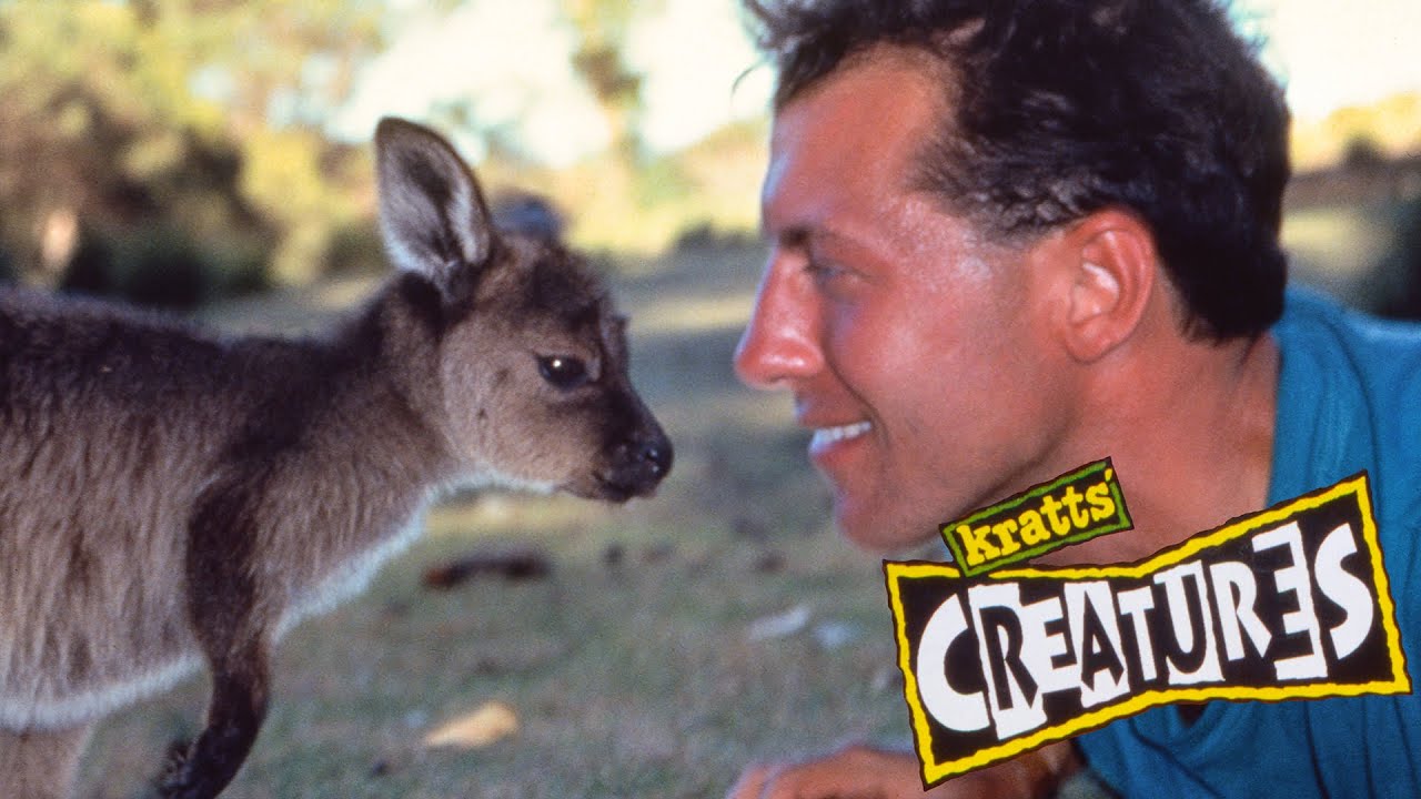 Top Jumpers of the Animal Kingdom | Best of Kratts' Creatures