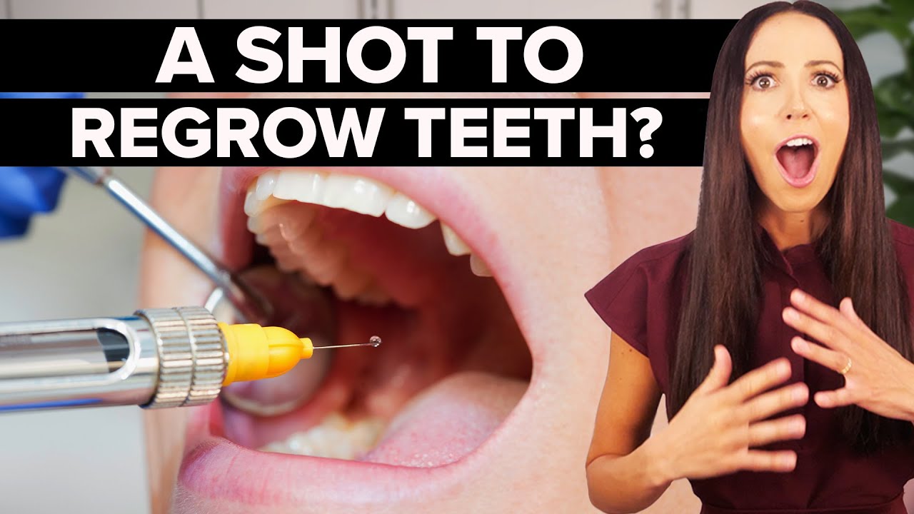 Can We Actually Regrow Teeth? The Science Behind the Tooth Regeneration Shot