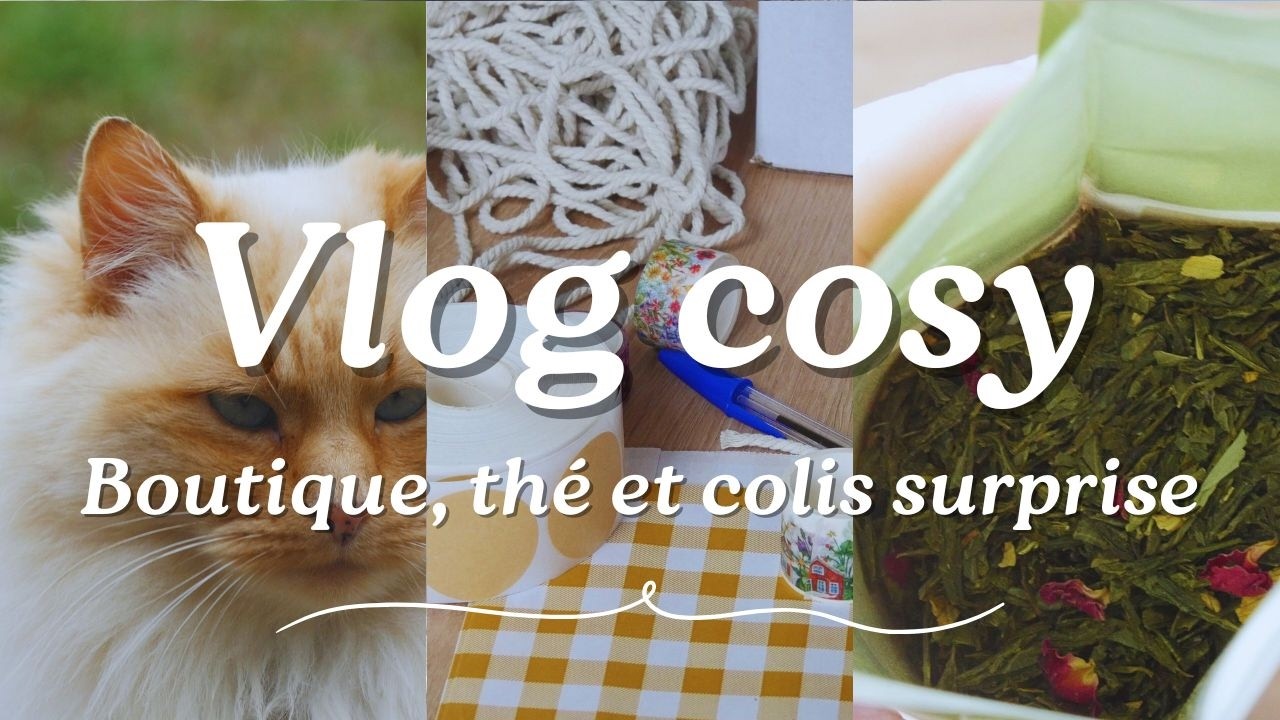 Boutique, thé et colis surprise - Vlog cosy n°24 #cosy #home #slowlife