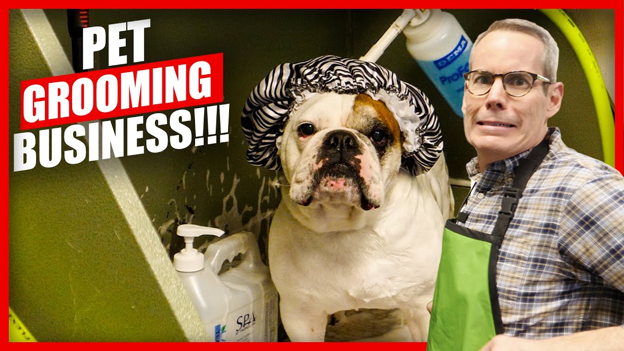 How They Started A SUCCESSFUL Dog Grooming Business!