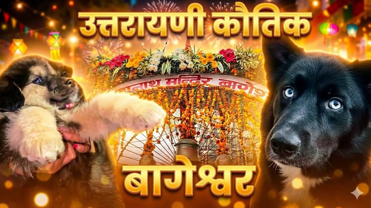 उत्तरायणी मेला बागेश्वर | Famous Bageshwar Mela | Himalayan Fair Vlog