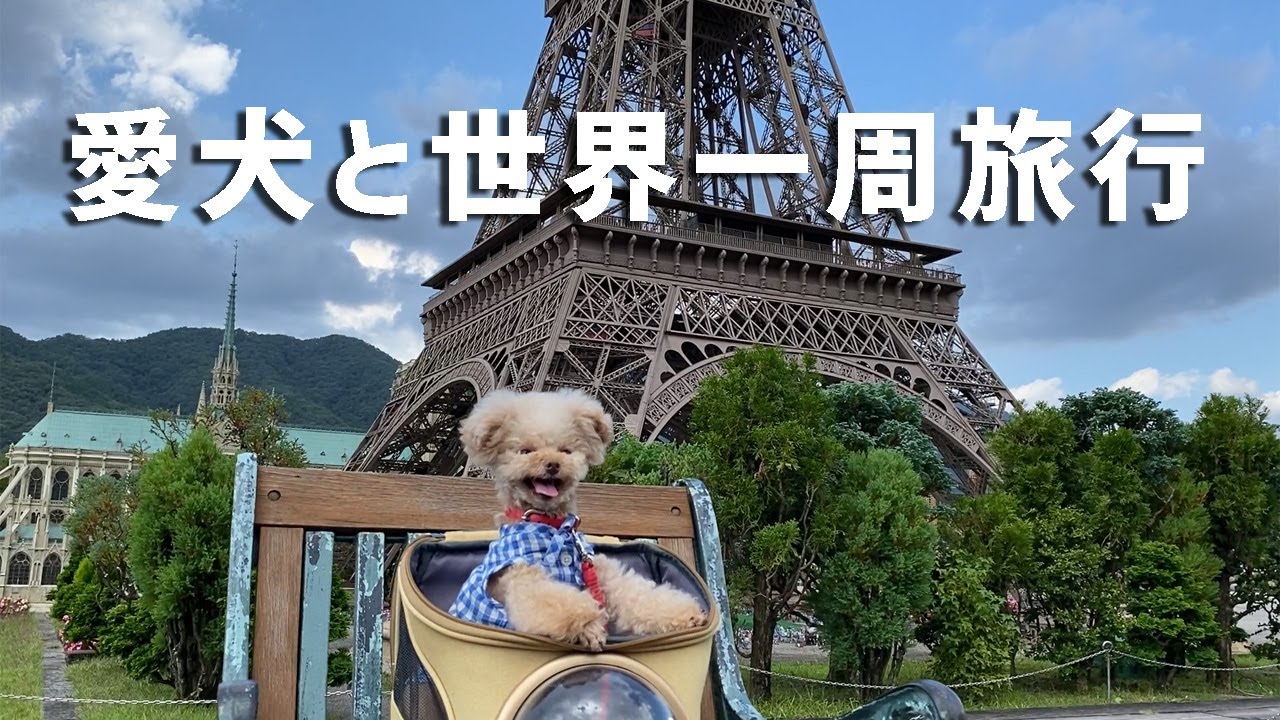 【日光旅行①】日光ワールドスクウェアいったら犬の魂抜けましたｗ【トイプードル】