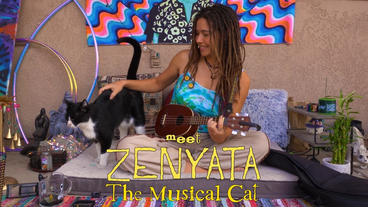 A Cat that Plays Bells + a Girl With an Ukulele = Good Vibes ✨