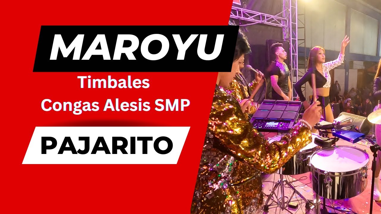 Maroyu - Pajarito | Timbales y Tumbas (Congas) Alesis Strike Multipad