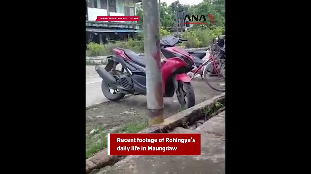 Recent footage of Rohingya's daily life in Maungdaw