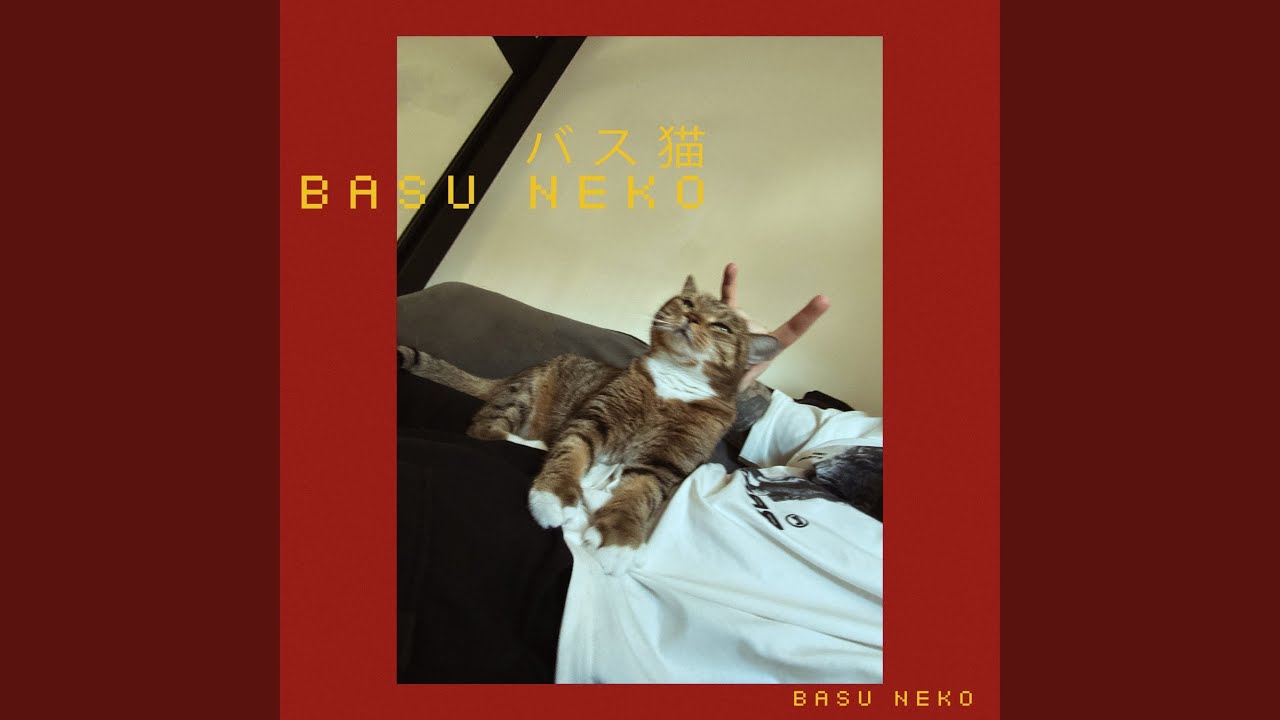 Basu Neko