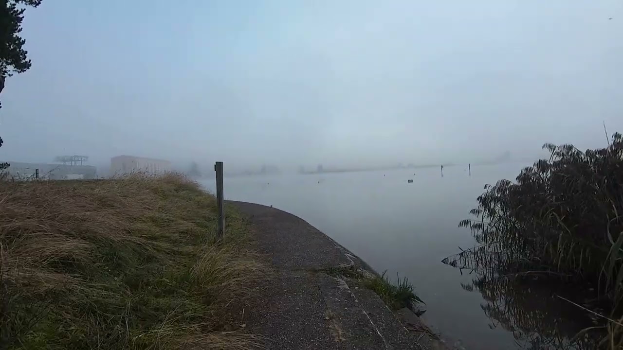 Nebel am Morgen
