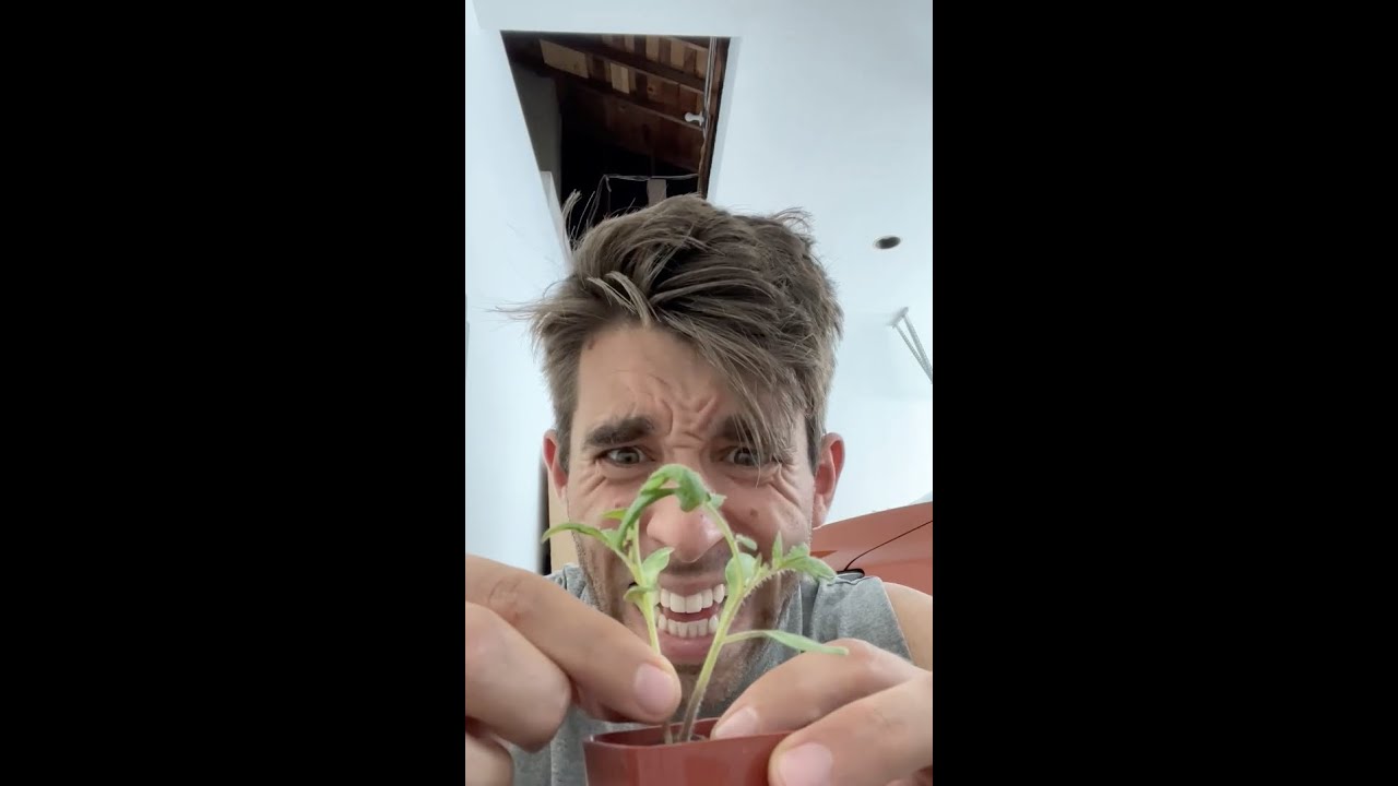 THIN YOUR SEEDLINGS | Farmer Nick