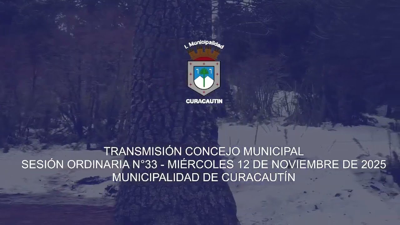 CONCEJO MUNICIPAL Sesión ordinaria N°33   Miércoles 12 de Noviembre de 2025