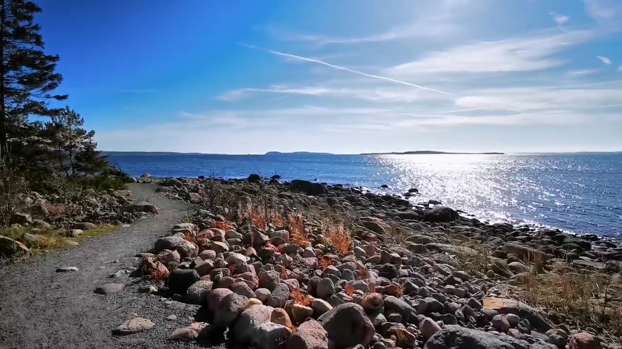 Tur med omvisning Larkollen camping