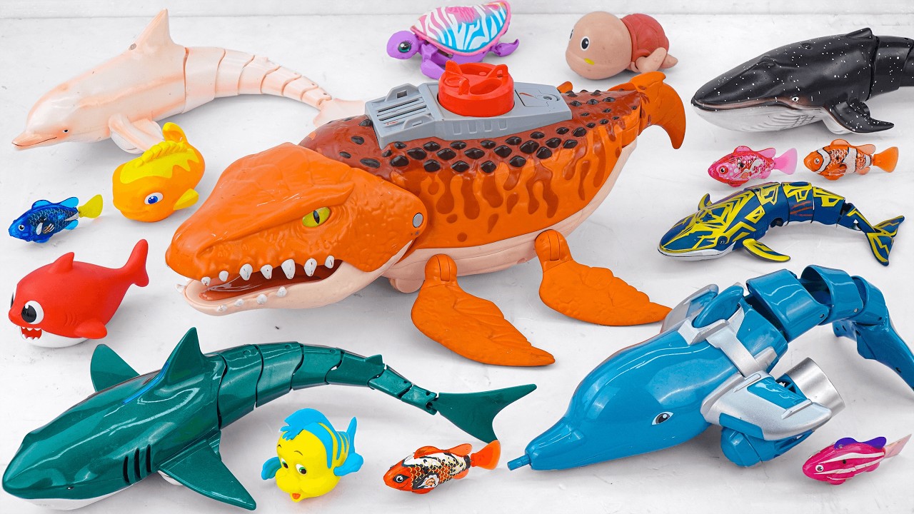 [🐋Toy asmr🐋] Yellow Whale & Nimo Fish & Baby Shark & Alive Aquarium ASMR Satisfying with Unboxing