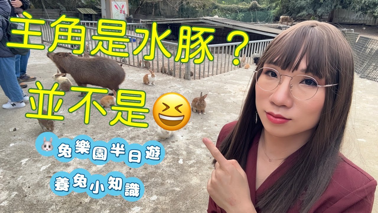 🐰 Held hostage by a capybara for 5 mins?! 😭 Warning: Don't get a bunny blindly! #rabbit #capybara