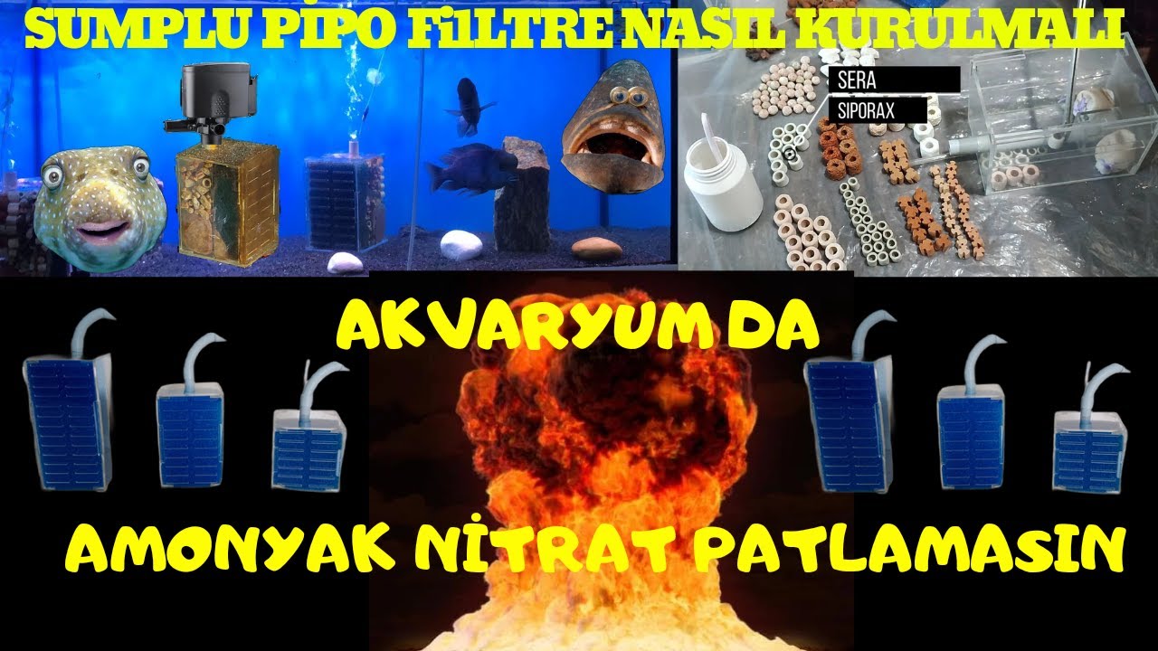 Sump Pipo Filtre Kurulumu Amonyak Nitrat Patlamasın #sumplu #pipo #filtre