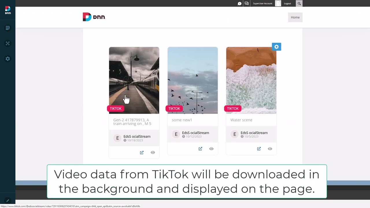 EasyDNN Social Stream - TikTok setup