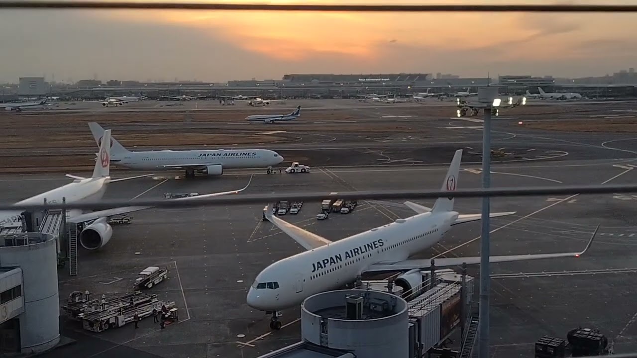 JAL651  鹿児島行き  B767-300ER  JA613J  JAL586便  函館発  B767-300ER  JA606J  羽田空港 スポット14番  出発＆到着