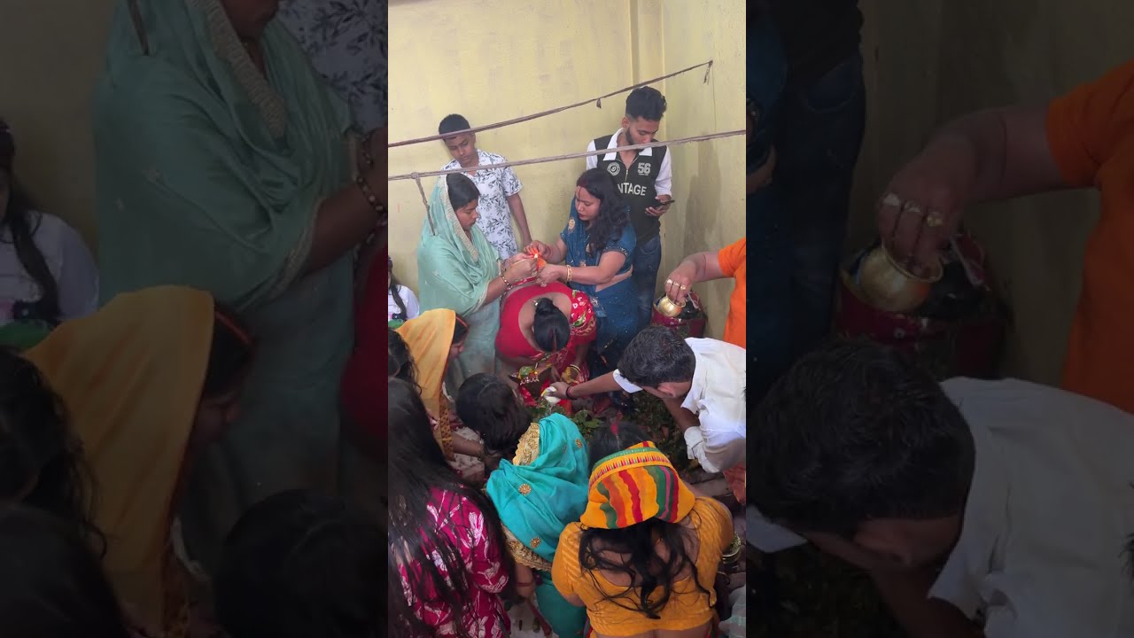महा शिवरात्रि के पावन अवसर पर महादेव का आशीर्वाद प्राप्त किया 🙏हर हर महादेव 🙏#youtube #viralvideo