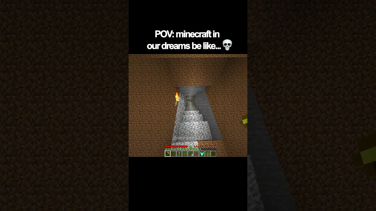 POV: minecraft in our dreams be like...