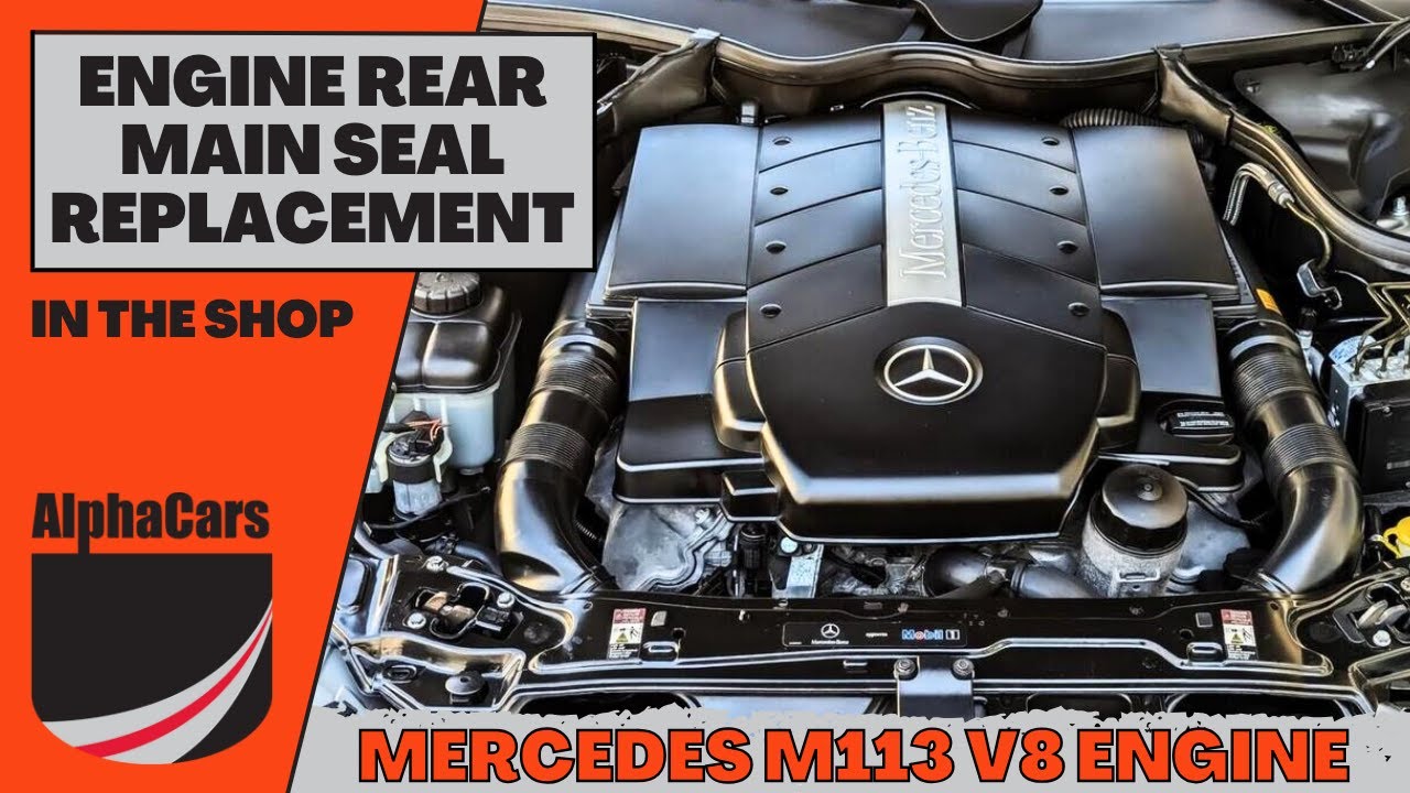 Fixing Oil Leaks on a 2004 Mercedes CLK500 C209! | Process Explained