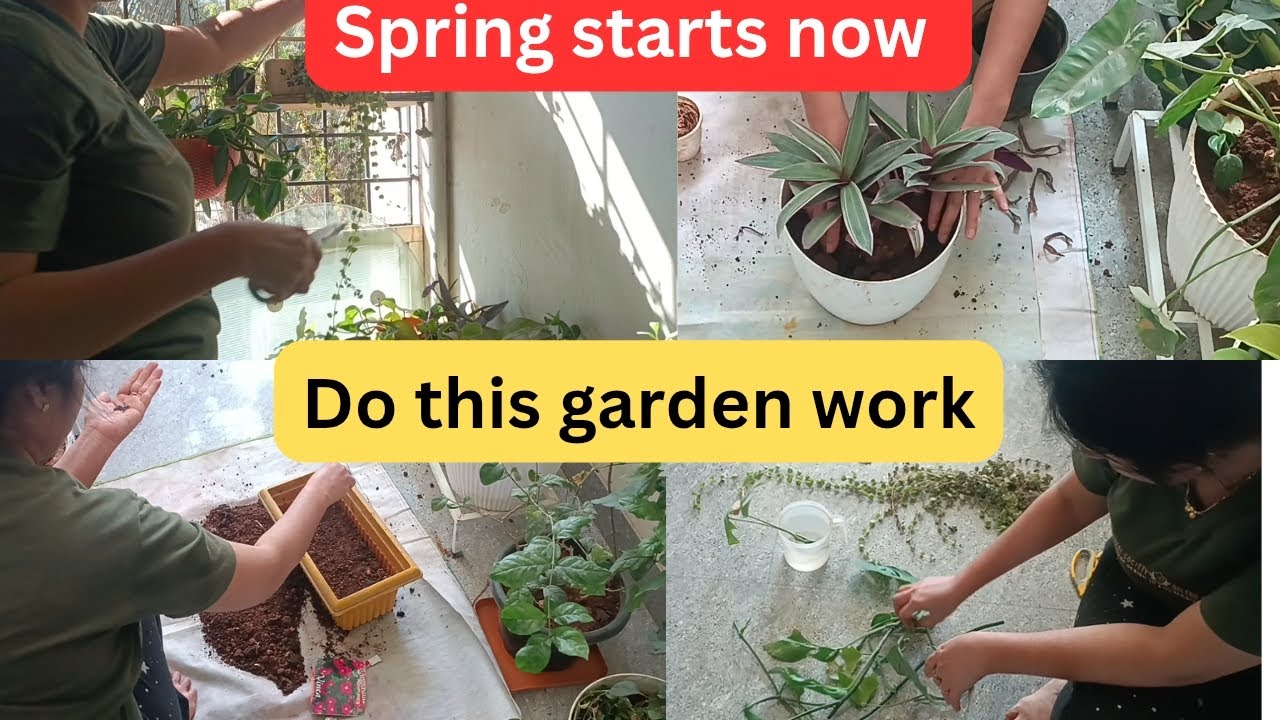 Do this work in spring month/February garden work