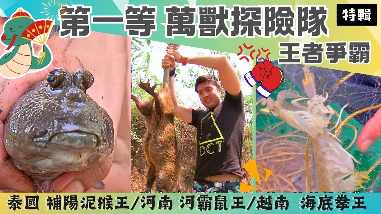 【金蛇領頭 萬獸探險隊】河南 河霸鼠王/越南 海底拳王 瀨尿蝦/泰國 補陽泥猴王《世界第一等》特輯 S20