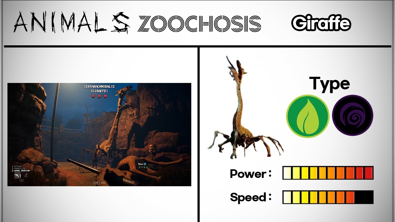 ZOOCHOSIS All Characters Book & Power Comparison 🔥