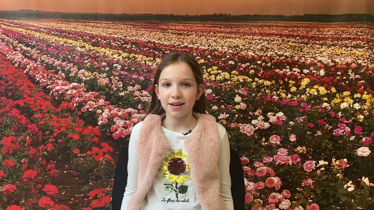 Petőfi Sándor: Arany Lacinak